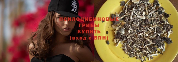 PSILOCYBIN Алексеевка