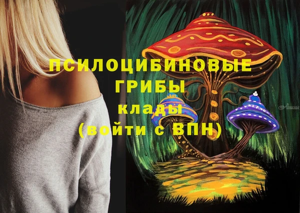 PSILOCYBIN Алексеевка