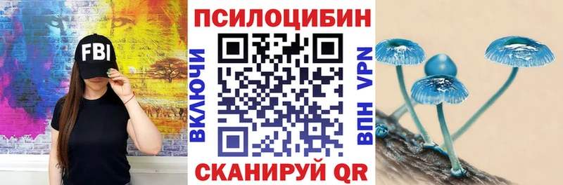 Псилоцибиновые грибы Psilocybe  mega зеркало  Заинск  магазин  наркотиков 